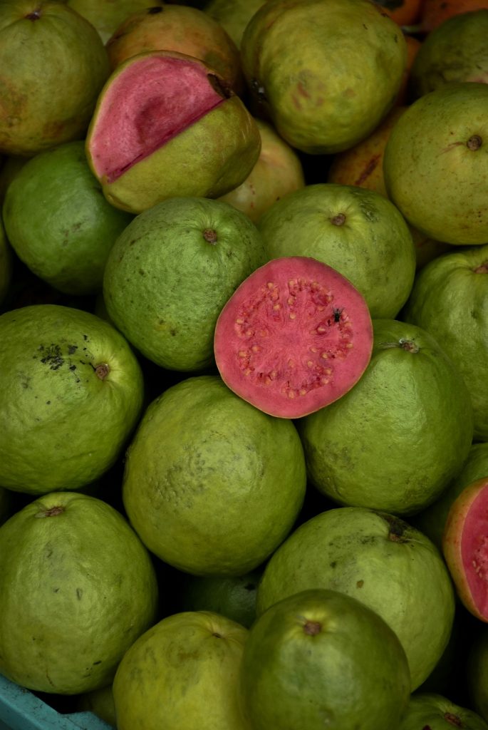 Can Dogs Eat Guava